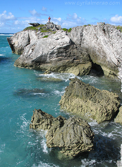 C�te rocheuse de l'�le Rodrigues