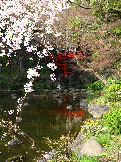 Japan korakuen japonese garden red bridge