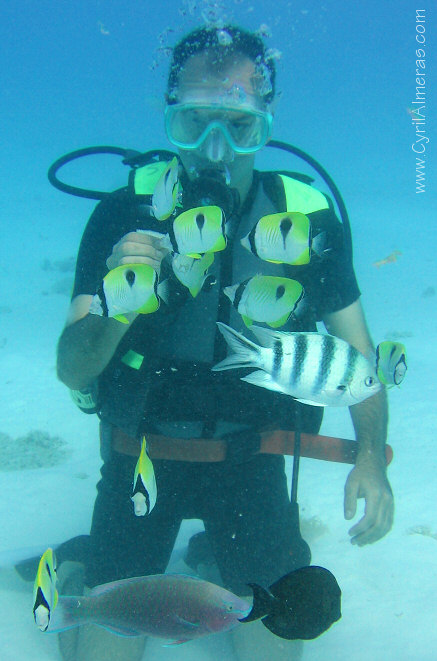 Plongeur sous-marin (moi :-) et poissons papillon et perroquet