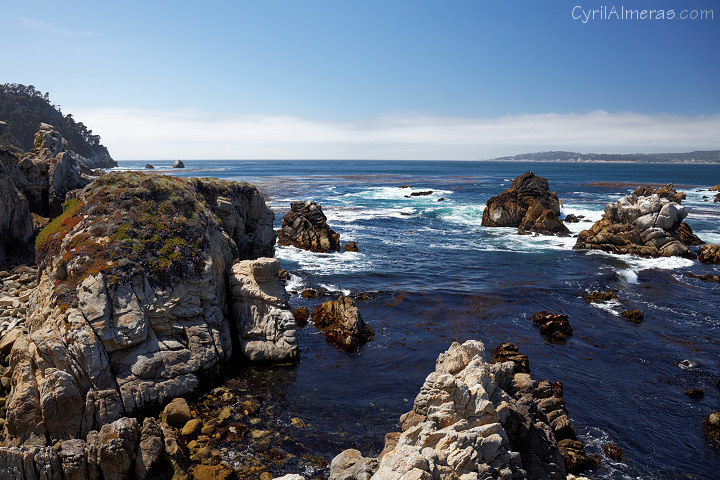 point lobos state reserve